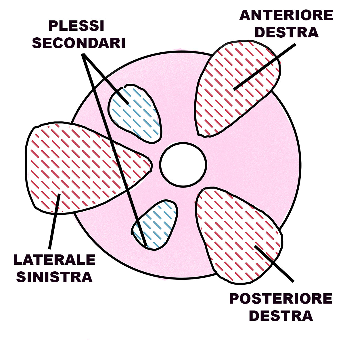 Chirurgo Plastico in centro a Milano